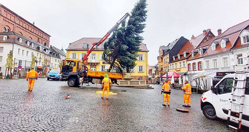 Weihnachtsbaum Marktplatz 1