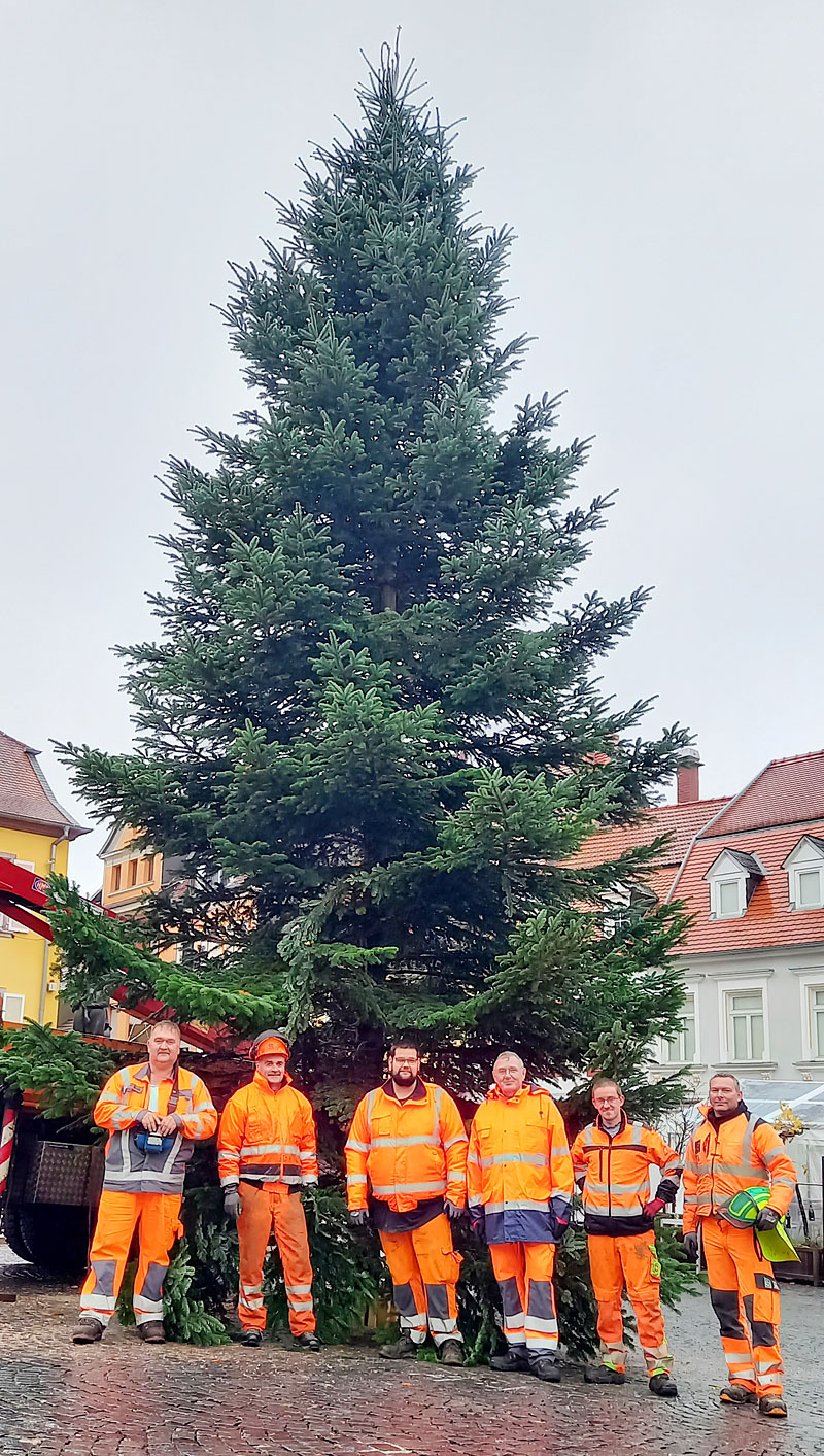 Weihnachtsbaum Marktplatz