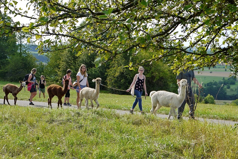 Ferien- und Freizeitangebote